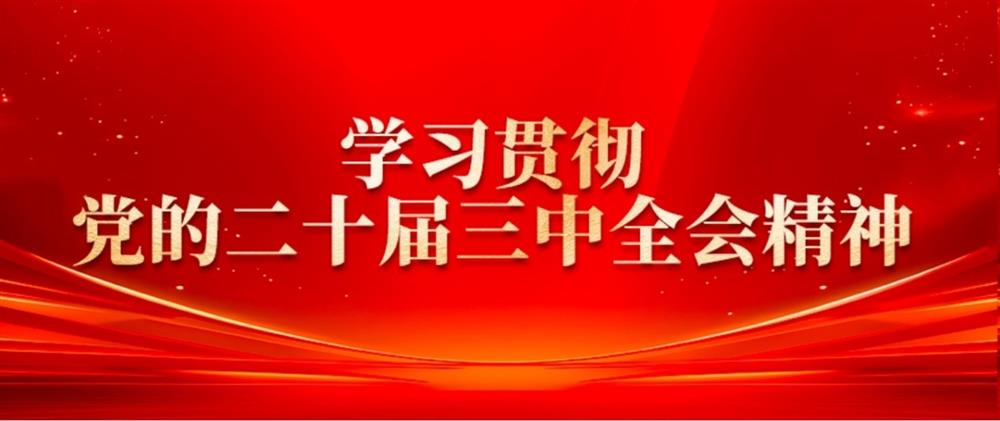 學(xué)習(xí)貫徹黨的二十屆三中全會(huì)精神② 產(chǎn)發(fā)園區(qū)集團(tuán)董事長(zhǎng)劉孝萌：抓好“建、招、儲(chǔ)、運(yùn)”,建設(shè)高質(zhì)量產(chǎn)業(yè)園區(qū)